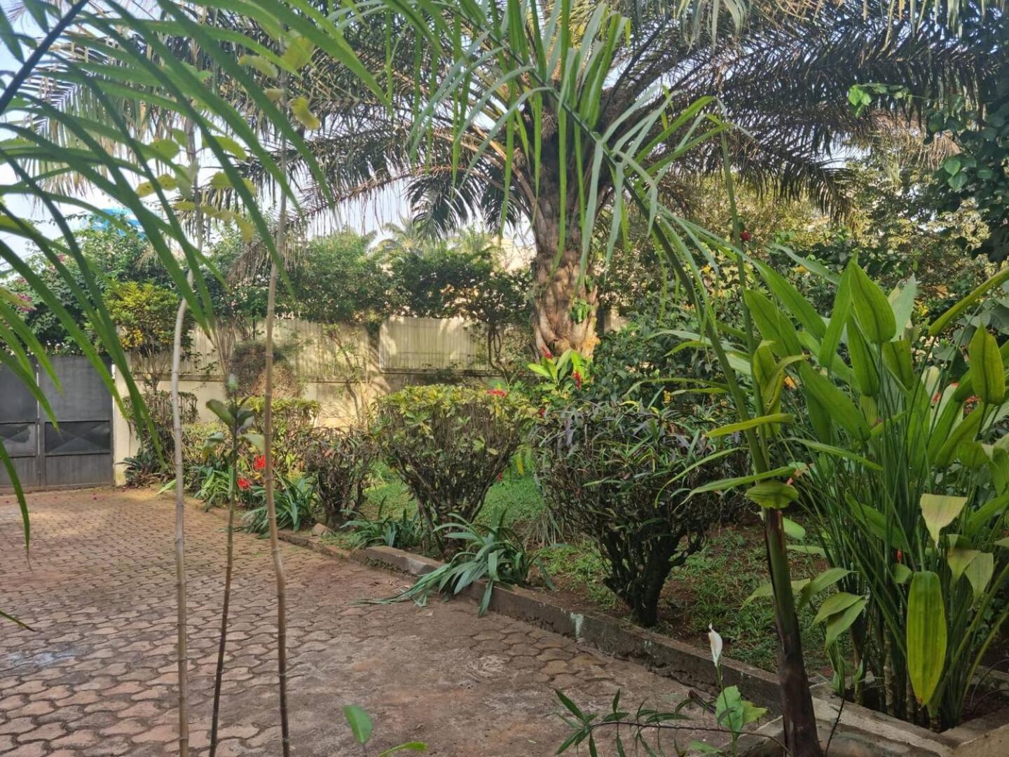Tout Confort Avec Jardin Entree Bastos Yaounde Exterior photo