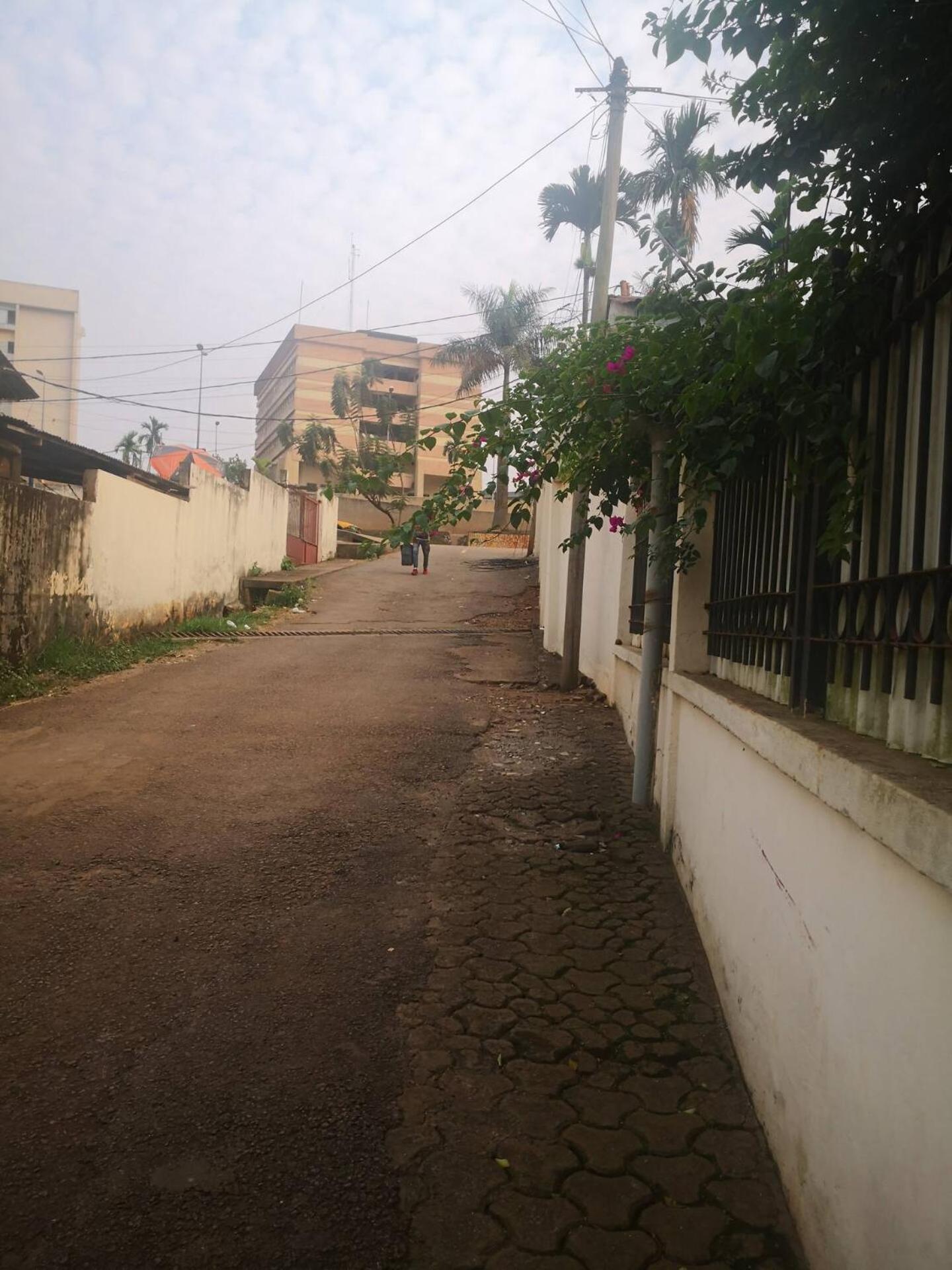 Tout Confort Avec Jardin Entree Bastos Yaounde Exterior photo